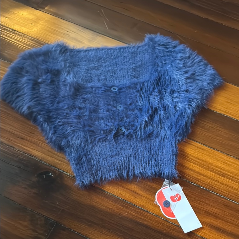 Cider Vibrant Blue Fuzzy Sweater